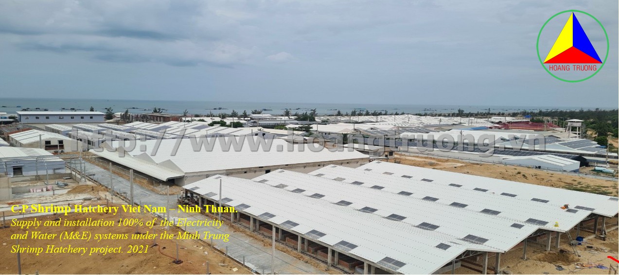 C.P Shrimp Hatchery Viet Nam-Ninh Thuan, Aupply anh Installation 100% of the Electric anh Water (M&E)
